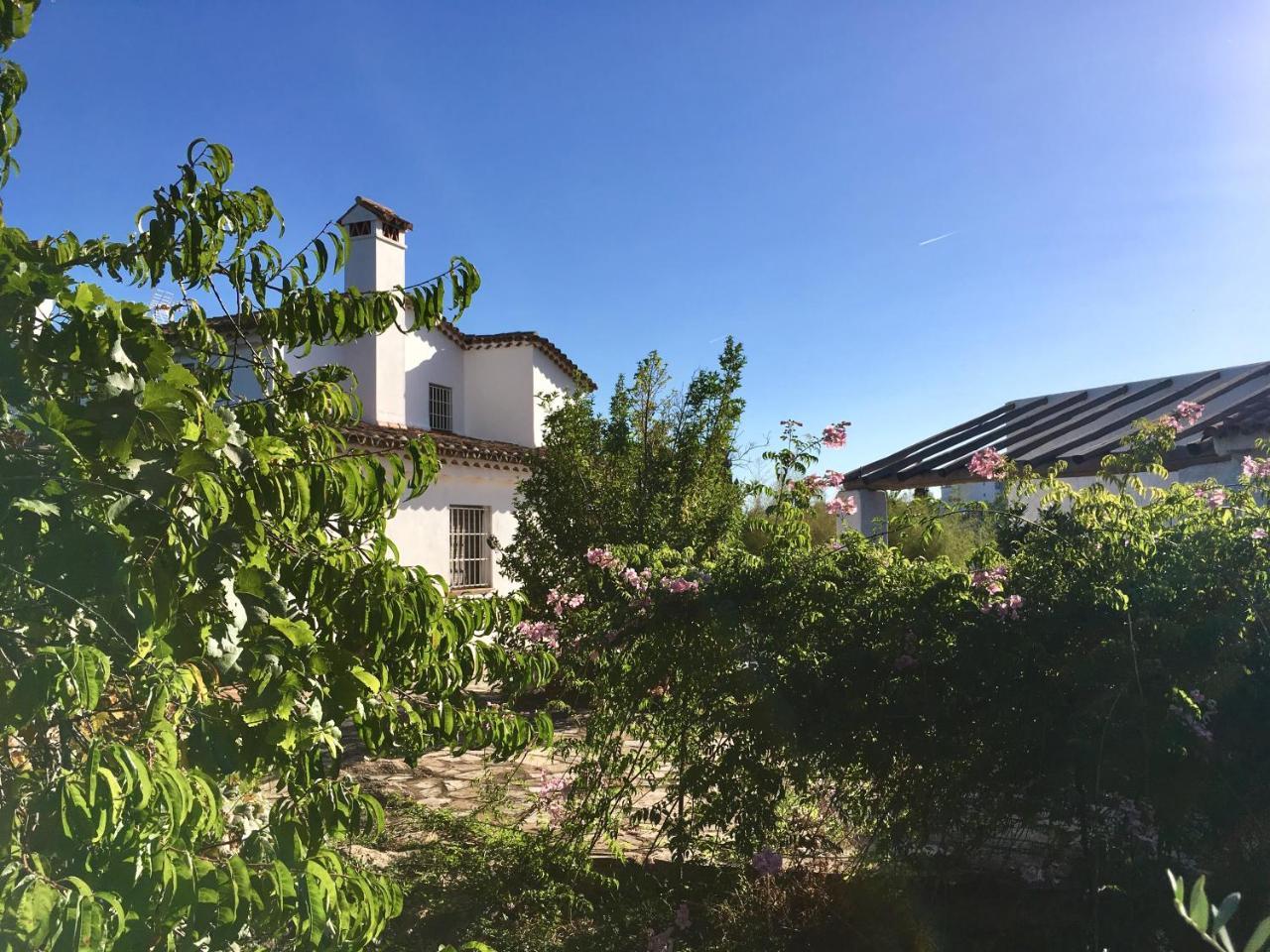 Finca Horno De Cal Aracena Zewnętrze zdjęcie